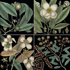 Graphic Botanical Grid V