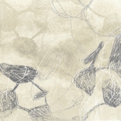 Graphite Inversion I