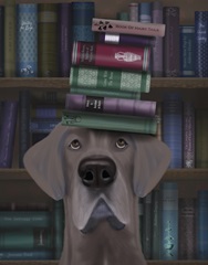 Great Dane and Books
