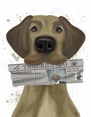 Great Dane Newspaper