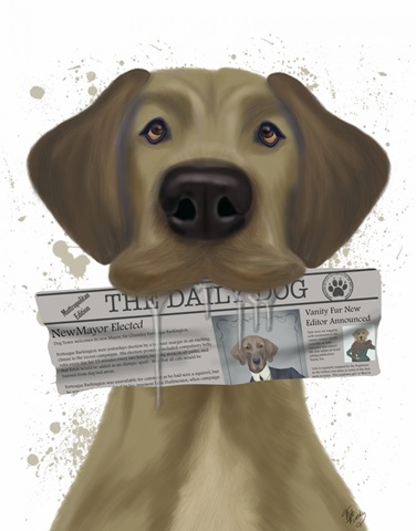 Great Dane Newspaper