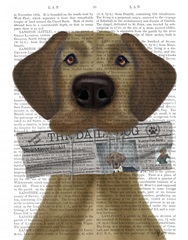 Great Dane Newspaper