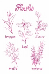 Herb Varieties