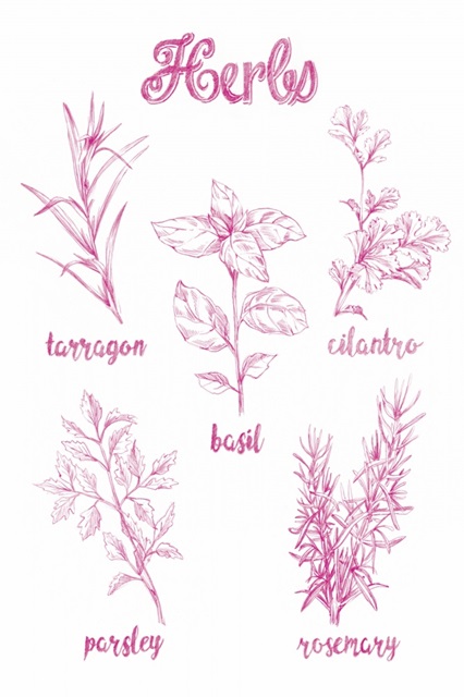 Herb Varieties