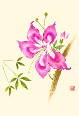 Hibiscus Flower II