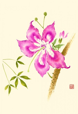 Hibiscus Flower II