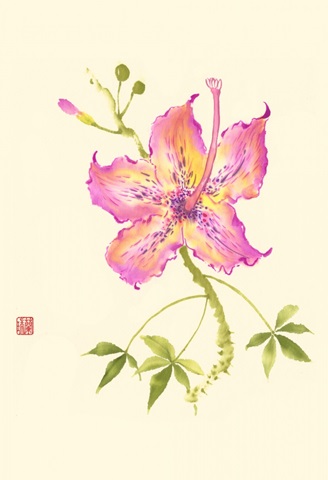 Hibiscus Flower IV