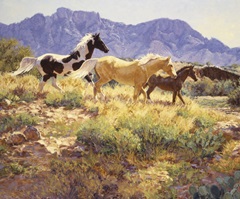 Horses at Big Wash