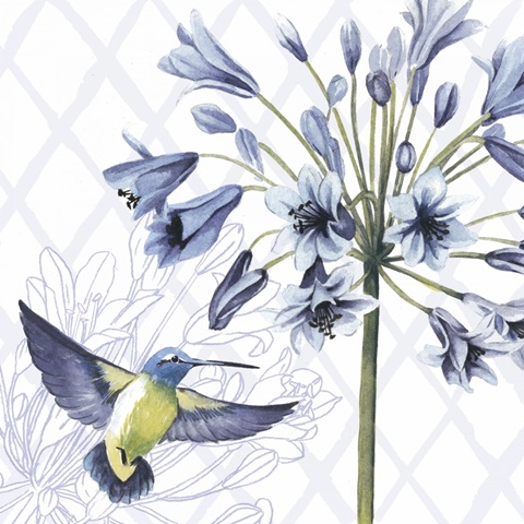 Hummingbird Dance II