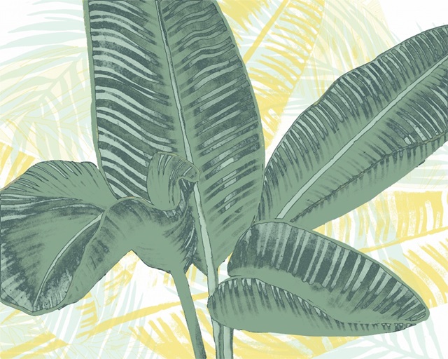 Illustrated Palms I