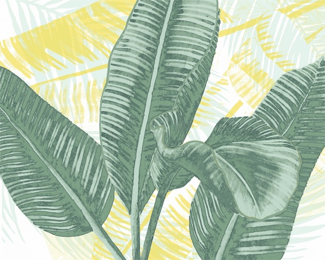 Illustrated Palms II