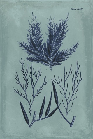 Indigo and Azure Seaweed I