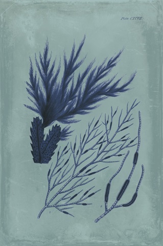 Indigo and Azure Seaweed II