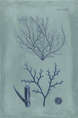Indigo and Azure Seaweed VII