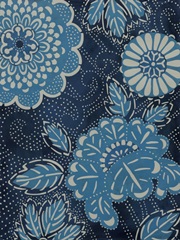 Indigo Constellation I