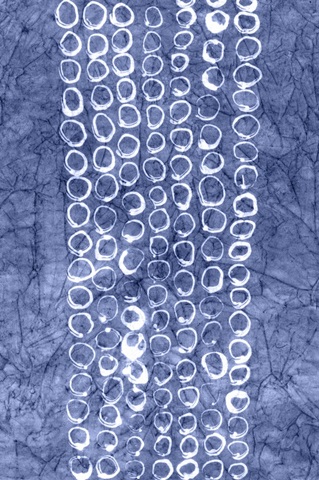 Indigo Primitive Patterns I