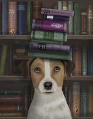 Jack Russell and Books
