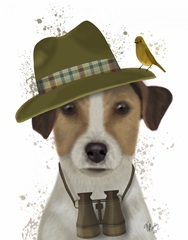 Jack Russell Bird Watcher