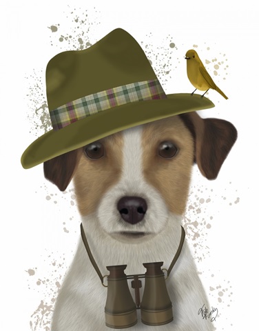 Jack Russell Bird Watcher