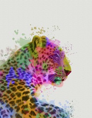 Leopard Rainbow Splash 1