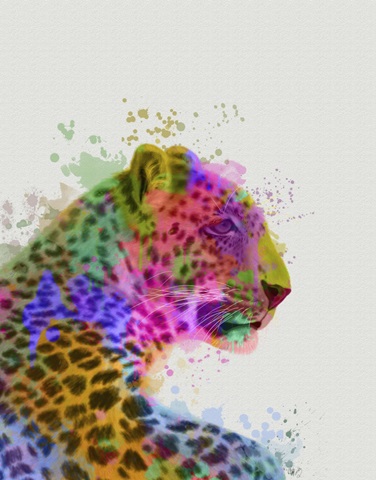 Leopard Rainbow Splash 1
