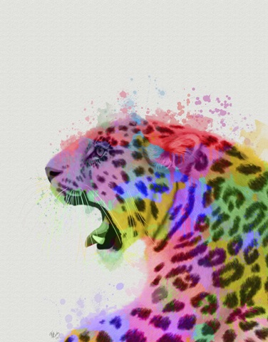Leopard Rainbow Splash 2