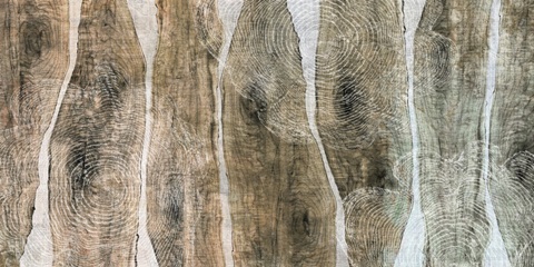 Live Edge II