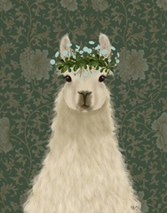 Llama Bohemian 1