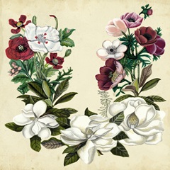 Magnolia and Poppy Wreath II