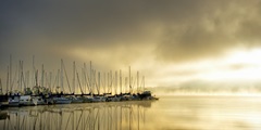 Marina Morning II