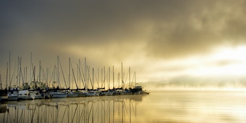 Marina Morning II