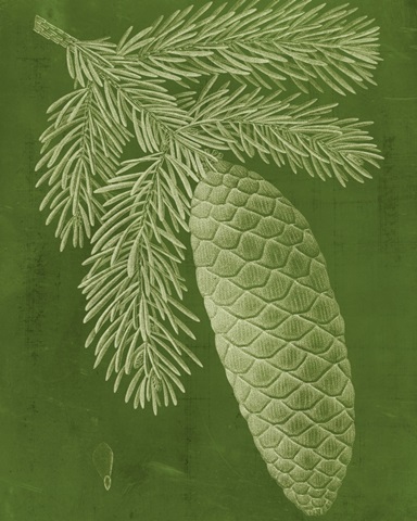 Modern Pine IV