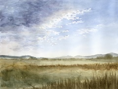 Montana Horizon I