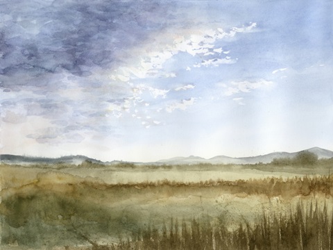 Montana Horizon I
