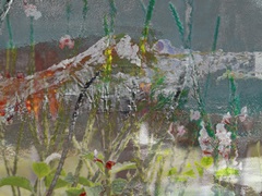 Mountain Wildflowers II