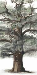 Oak Tree Composition I
