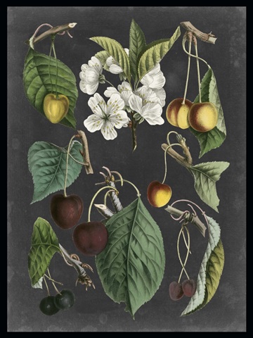Orchard Varieties II