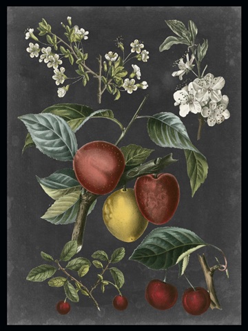 Orchard Varieties III