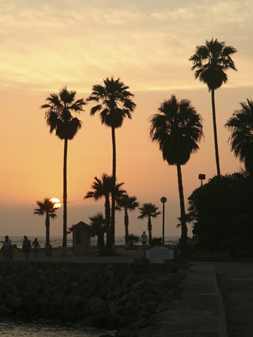 Photography/Landscape 122