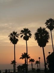 Photography/Landscape 123