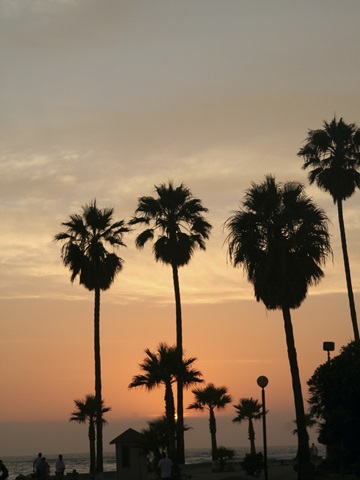 Photography/Landscape 123