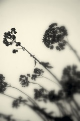 Photography/Landscape 154