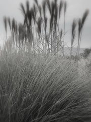 Photography/Landscape 180