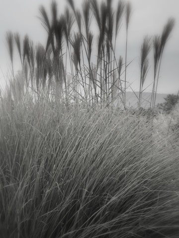 Photography/Landscape 180