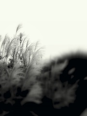 Photography/Landscape 181