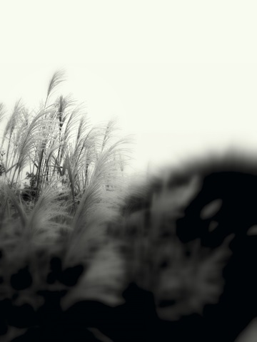 Photography/Landscape 181