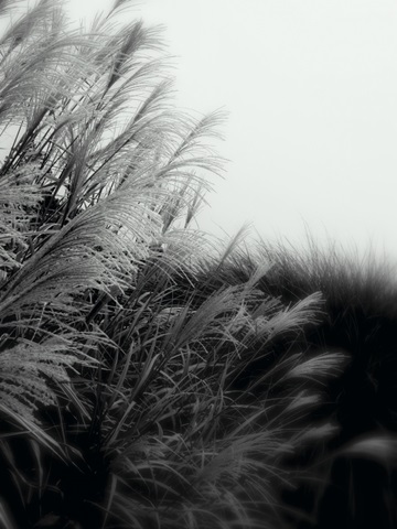 Photography/Landscape 182