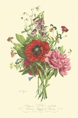 Plentiful Bouquet II