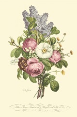 Plentiful Bouquet III