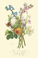 Plentiful Bouquet IV